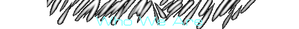 Who We Are