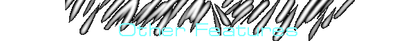 Other Features