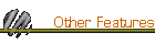 Other Features