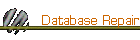 Database Repair