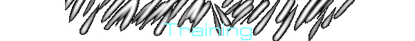 Training