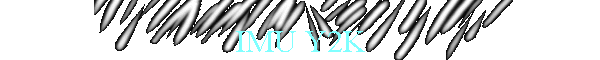 IMU Y2K