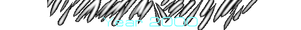 Year 2000